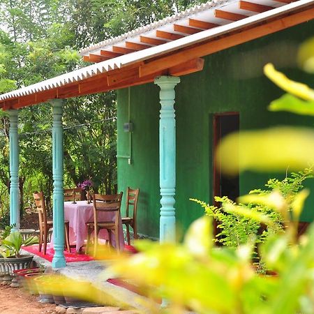 Organic Farm Wish Prabha Lake View Homestay Sigiriya Exterior photo