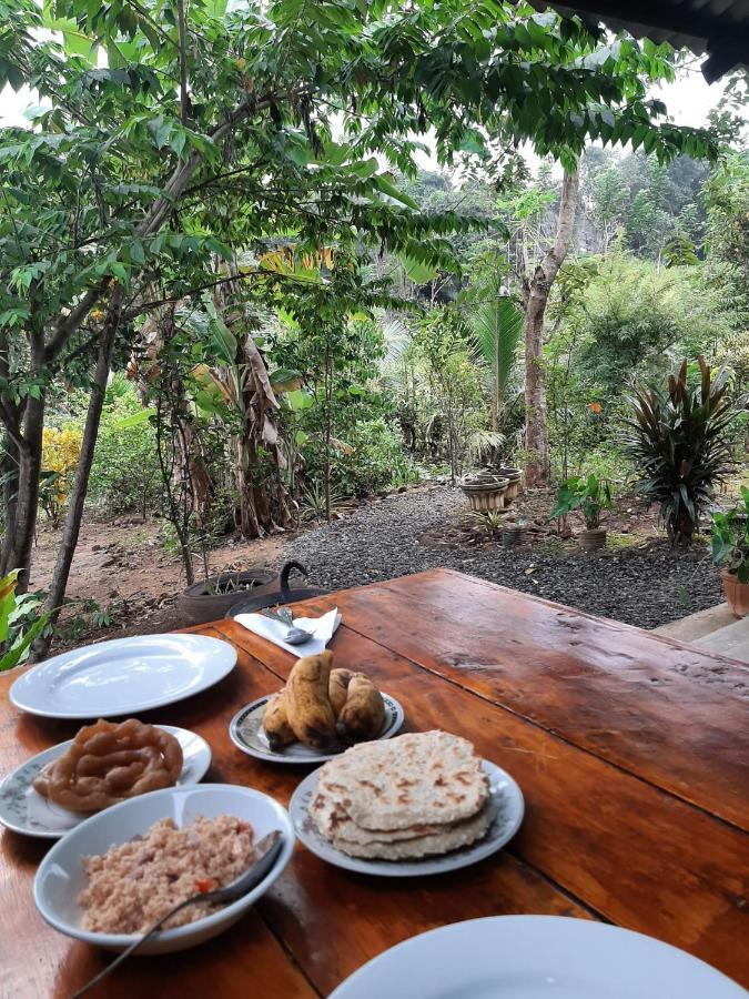 Organic Farm Wish Prabha Lake View Homestay Sigiriya Exterior photo