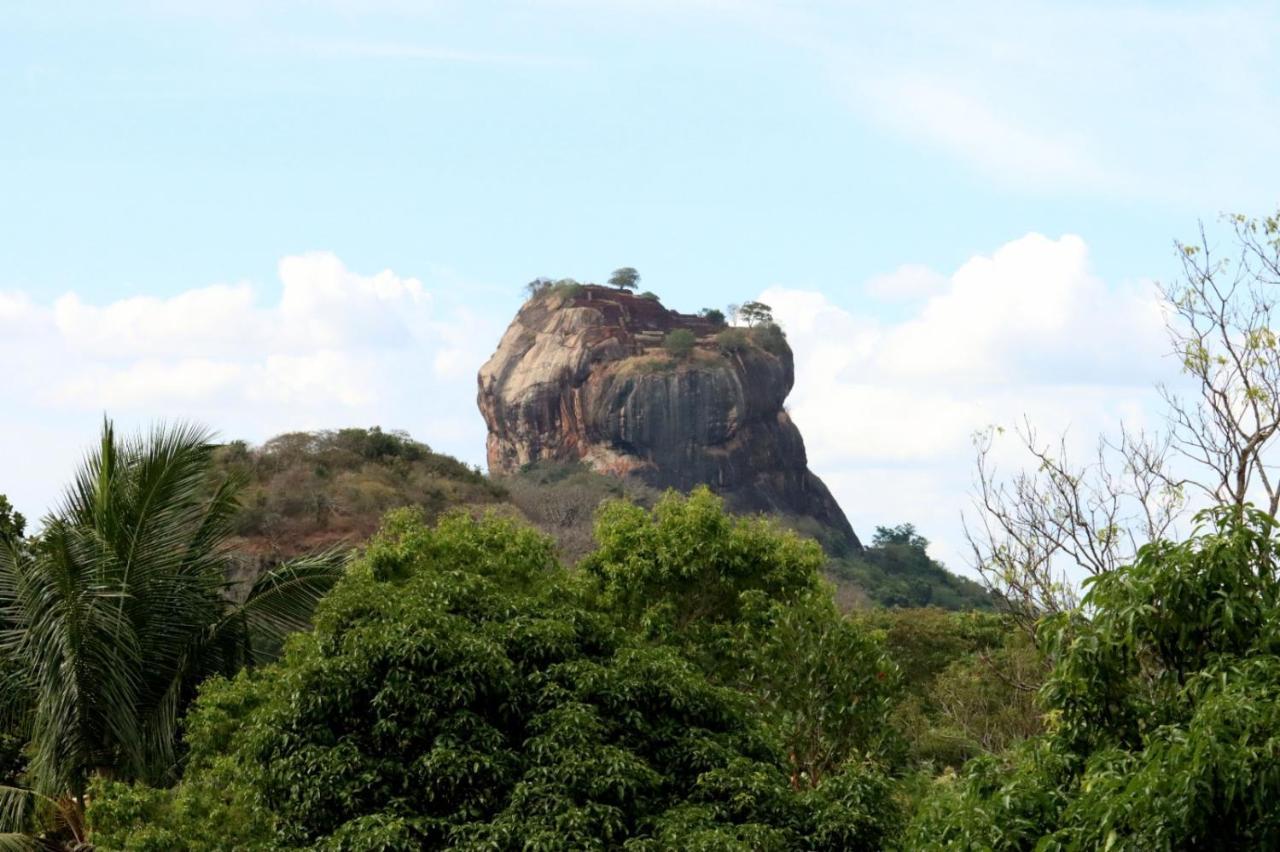 Organic Farm Wish Prabha Lake View Homestay Sigiriya Exterior photo