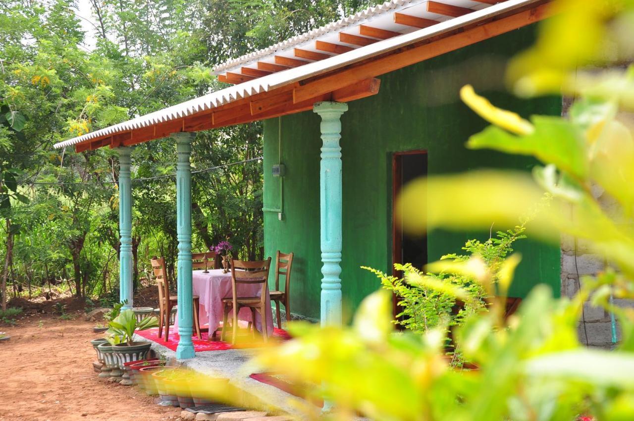 Organic Farm Wish Prabha Lake View Homestay Sigiriya Exterior photo