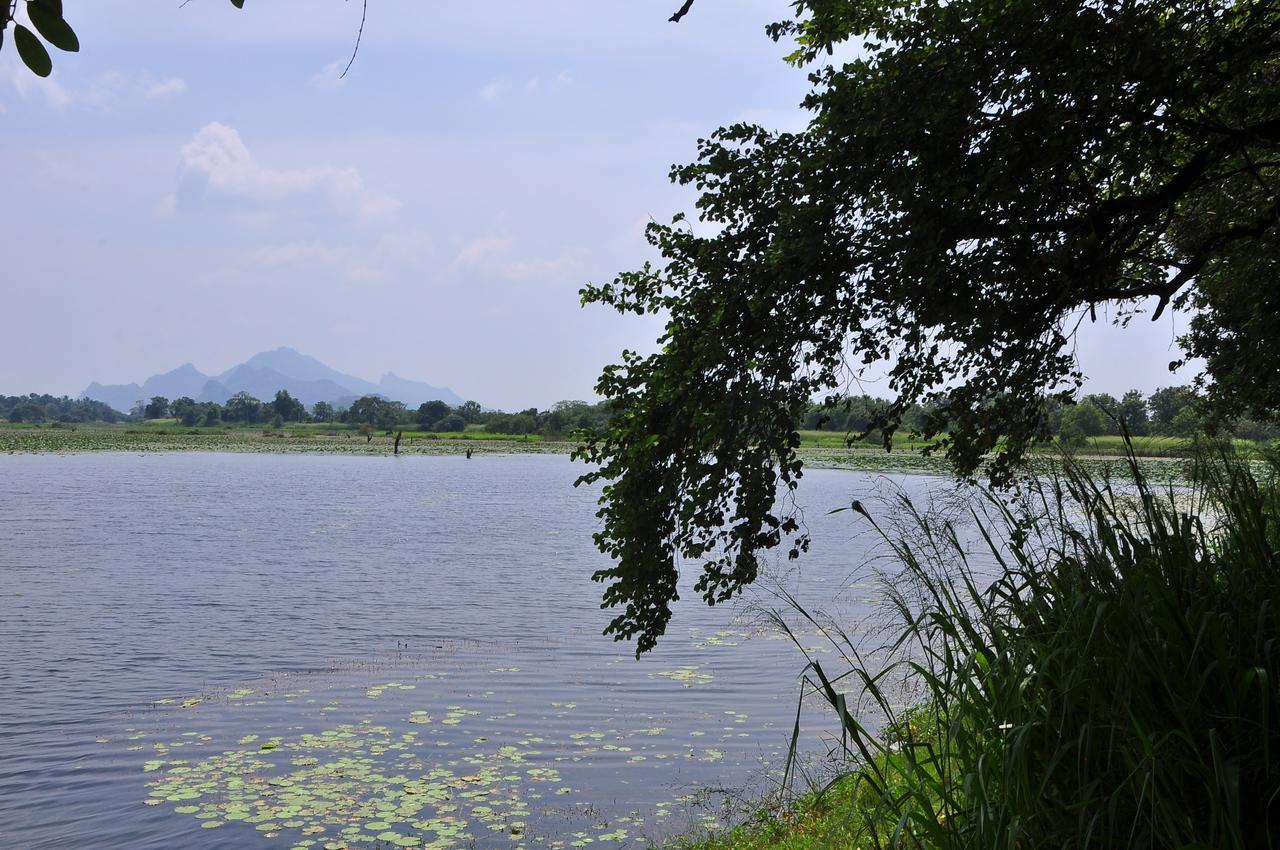 Organic Farm Wish Prabha Lake View Homestay Sigiriya Exterior photo