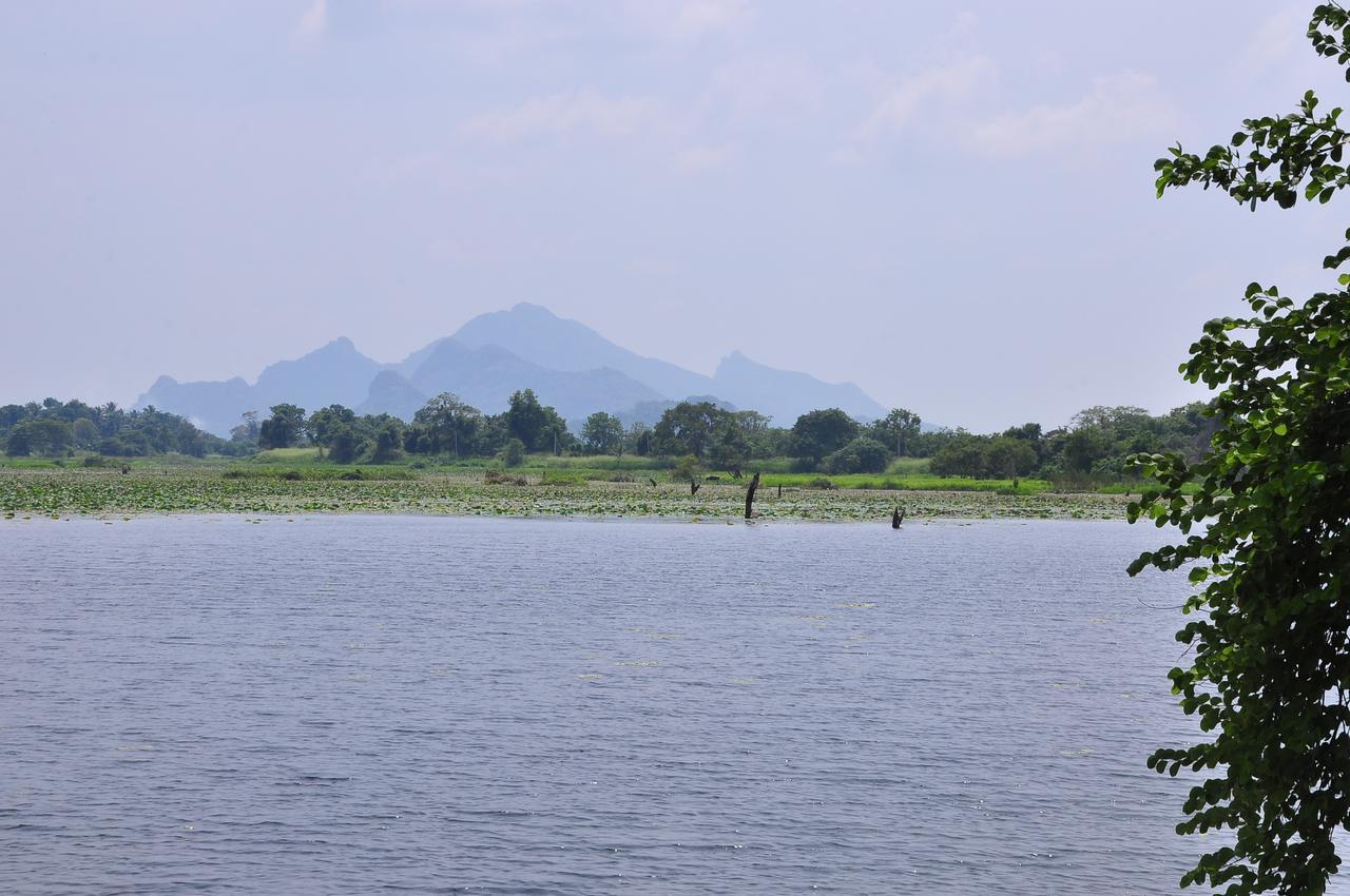 Organic Farm Wish Prabha Lake View Homestay Sigiriya Exterior photo