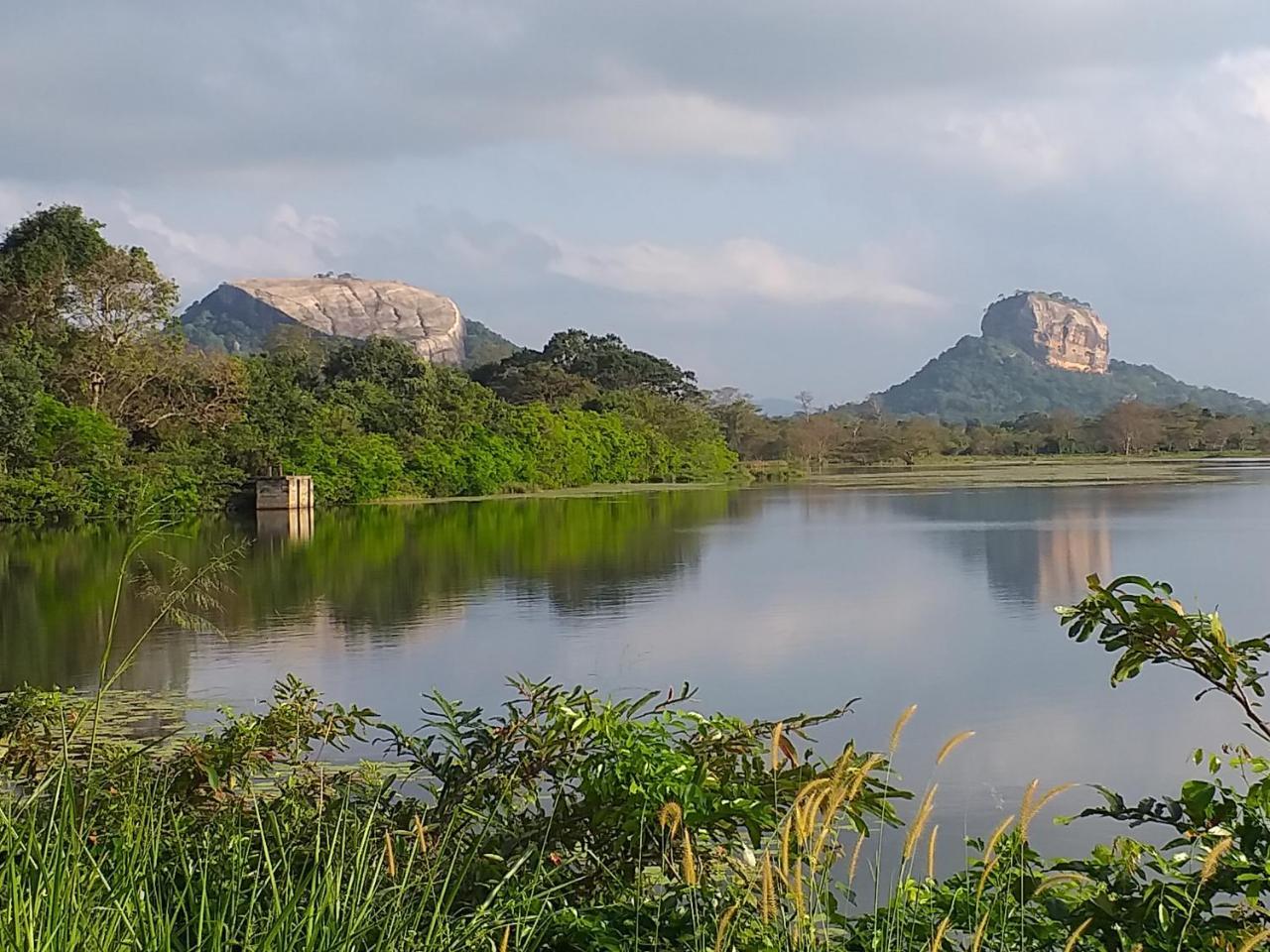 Organic Farm Wish Prabha Lake View Homestay Sigiriya Exterior photo