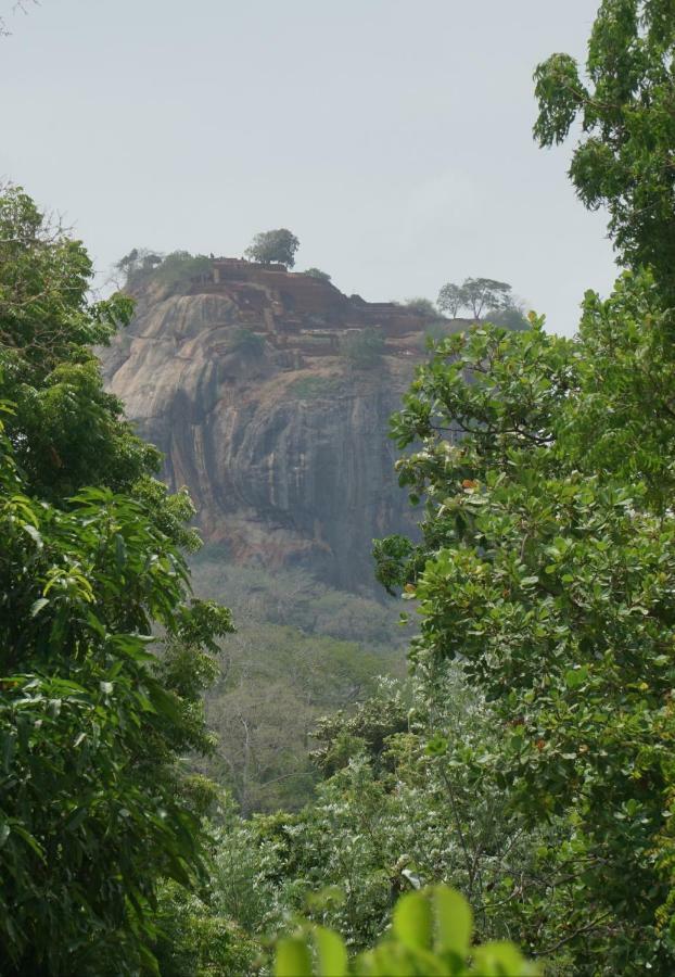 Organic Farm Wish Prabha Lake View Homestay Sigiriya Exterior photo