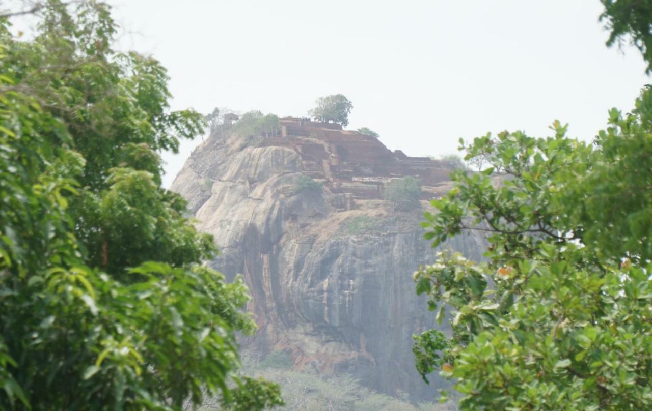 Organic Farm Wish Prabha Lake View Homestay Sigiriya Exterior photo